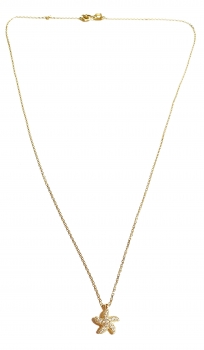 585/-14K GOLD magischer SEESTERN Gold Collier